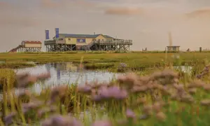 Sankt Peter-Ording: Gastro-Guide für Fisch, Pfahlbauten & mehr