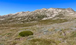 Mount Kosciuszko: Australiens höchster Berg Einfach zum Gipfel