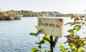 Schild "Badestelle" am See mit Bäumen im Hintergrund.