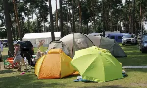 Zelte und Sonnenschirme auf einem Campingplatz mit Bäumen und Autos im Hintergrund.