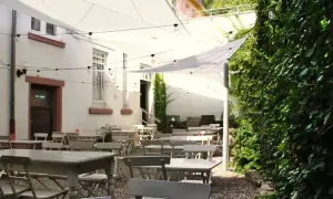 Wir Komplizen Frankfurt: Dein Guide zu Brunch & Craft Beer