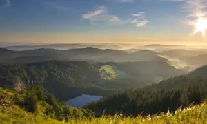Feldberg: Ihr ultimativer Guide zum höchsten Berg im Schwarzwald
