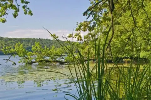 Lauenburgische Seen: Ihr Urlaubsparadies Aktiv, Kultur, Natur
