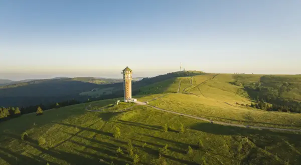 Feldberg: Höchster Berg im Schwarzwald Ihr Guide für Ausflug & Urlaub
