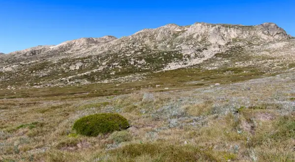 Mount Kosciuszko: Australiens höchster Berg Einfach zum Gipfel