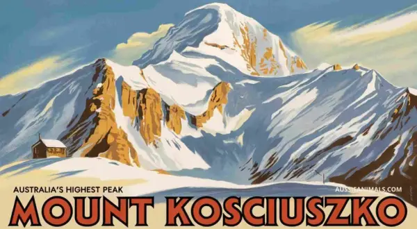 Mount Kosciuszko: Australiens höchster Berg & Ihr Wander-Guide
