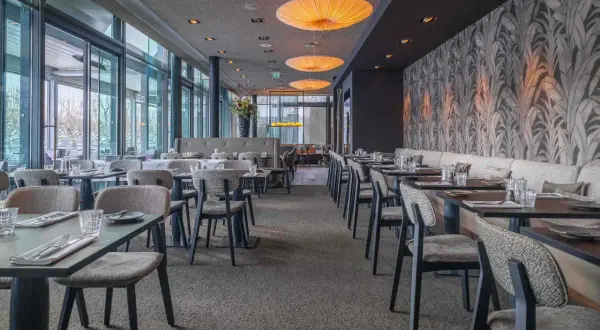 Main Nizza Gastronomie: Frankfurts Genuss-Oase am Mainufer