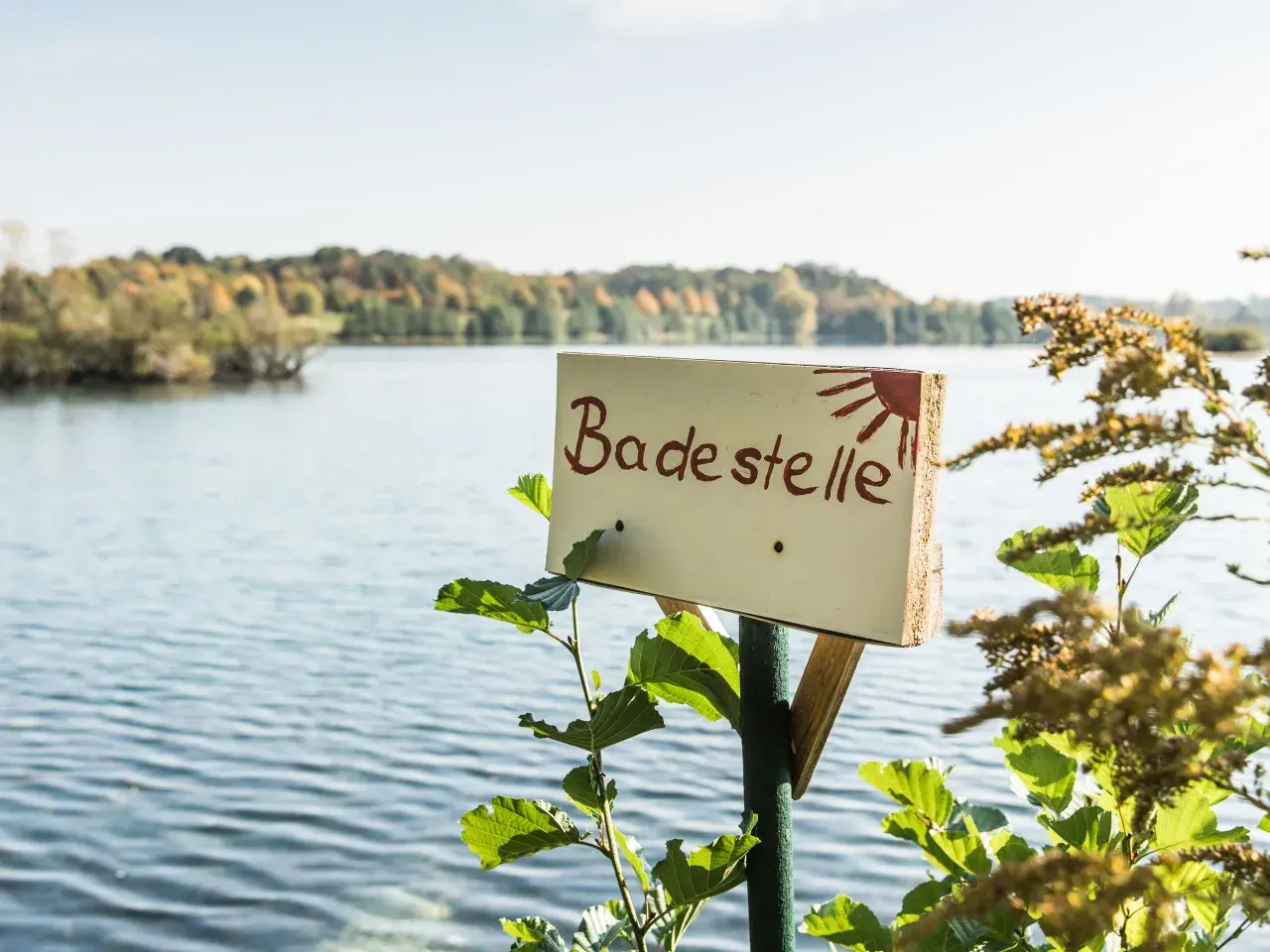 Schild "Badestelle" am See mit Bäumen im Hintergrund.