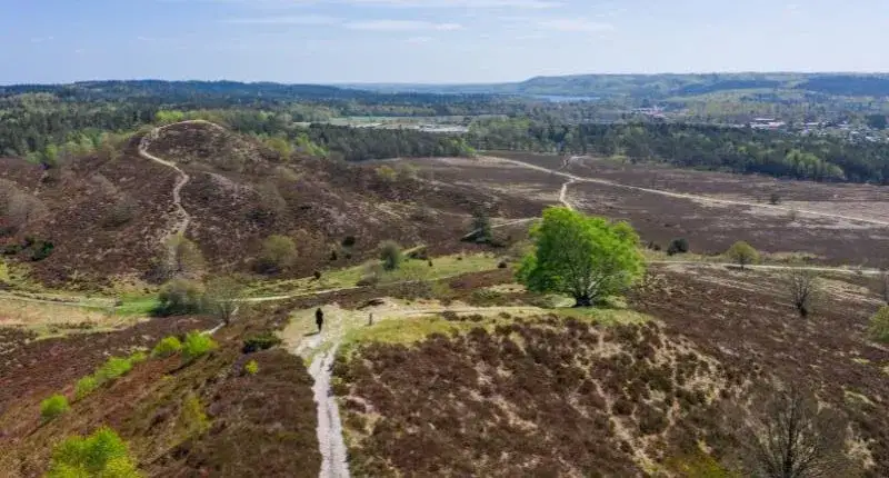S&oslash;h&oslash;jlandet D&auml;nemark Wanderweg Landschaft