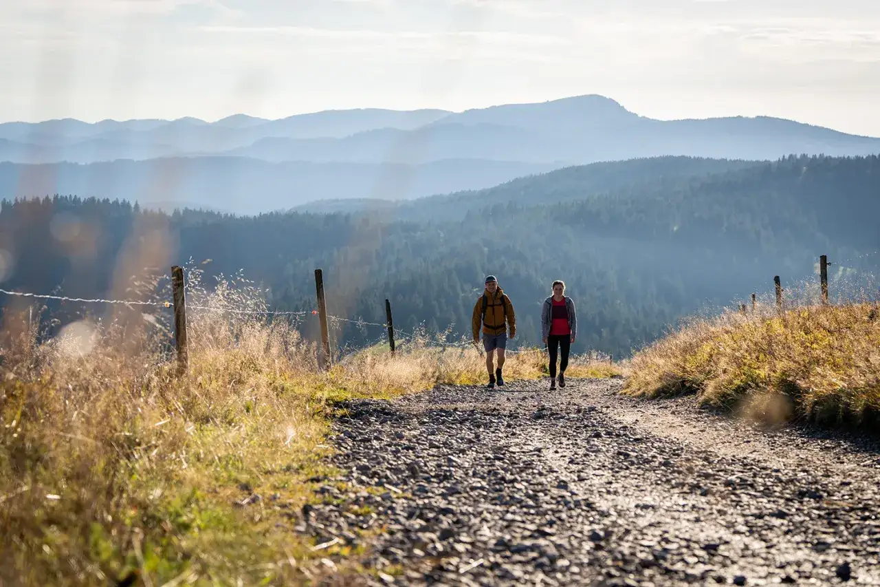 Wanderweg Feldberg-Steig im Sommer