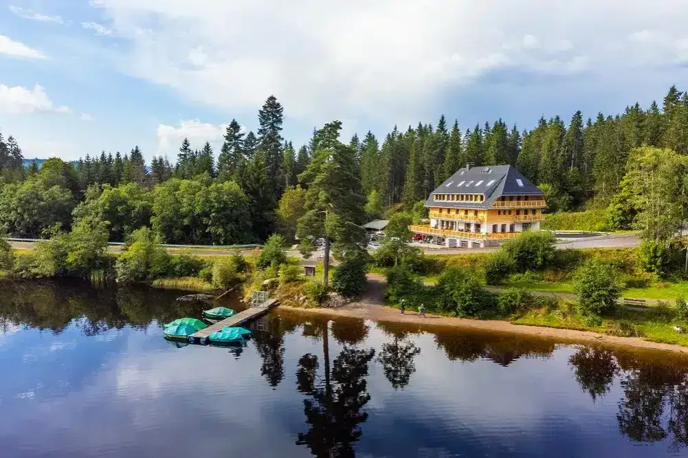 Berghotel im Schwarzwald mit Tannenwald