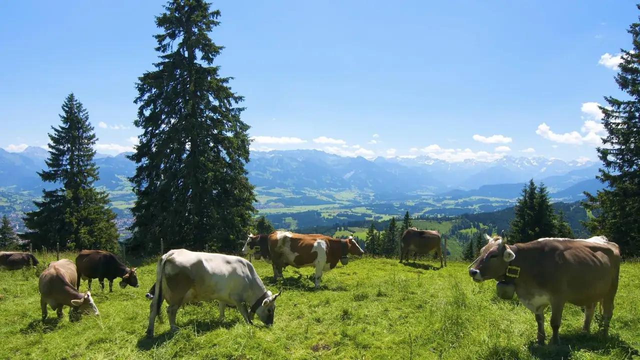 Allg&auml;u Landschaft Drehort Daheim in den Bergen