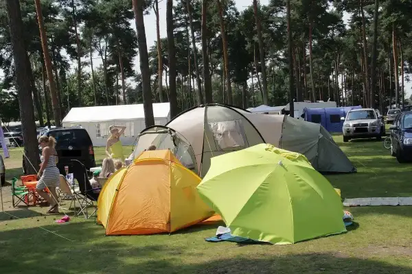 Zelte und Sonnenschirme auf einem Campingplatz mit Bäumen und Autos im Hintergrund.
